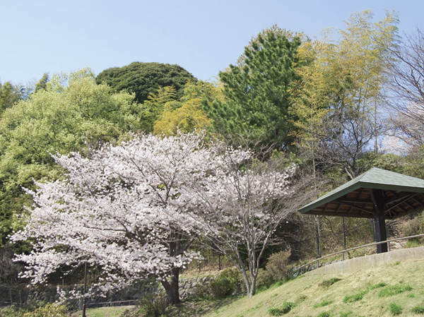 Surrounding environment. Hiyoshihon cho Taikesaki park (about 1810m, 23 minutes walk)
