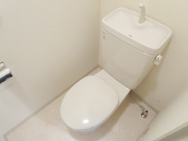 Toilet. It is a feeling of cleanliness drifts toilet