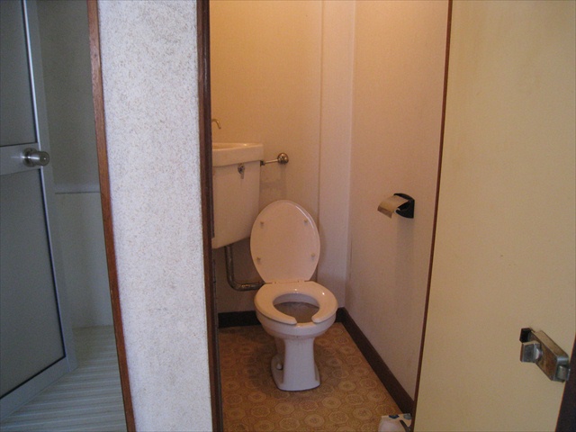 Toilet