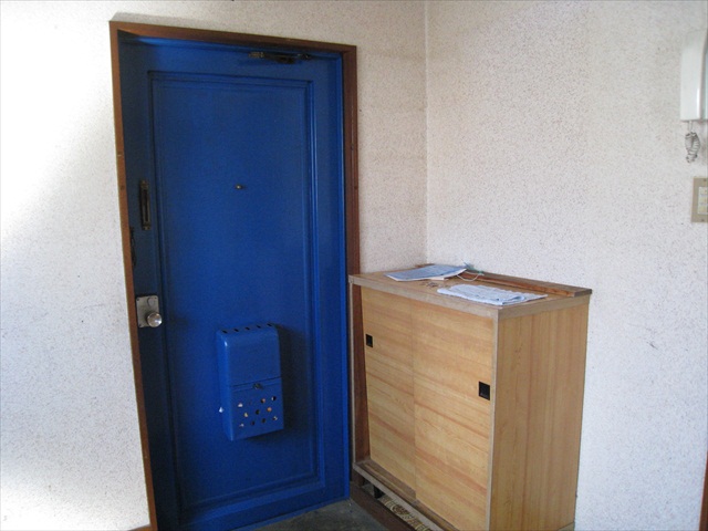 Entrance. Shoe box equipped