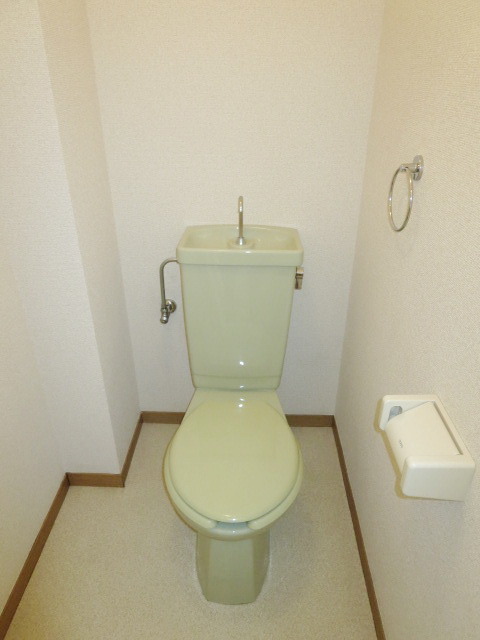 Toilet. It is a beautiful toilet