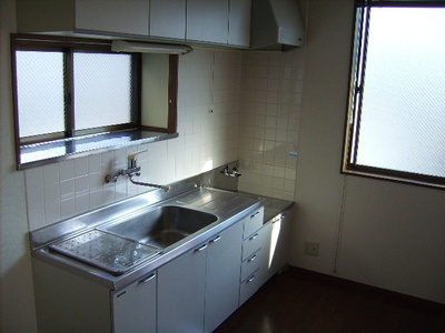 Kitchen. The kitchen is also bright with two faces lighting