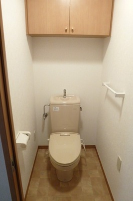 Toilet. A separate room is a reference photograph