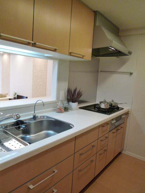 Kitchen. Indoor (12 May 2013) Shooting