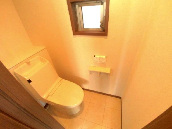 Toilet. Shower toilet