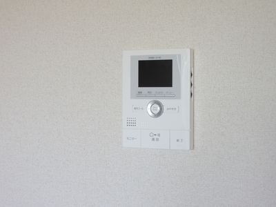 Security. Monitor with intercom