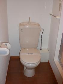 Toilet. Current state priority