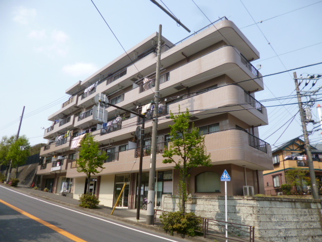 Building appearance. It is a mansion to live with pets