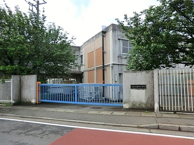 Primary school. New 300m up to elementary school (elementary school)