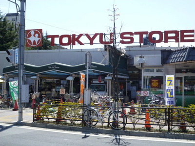 Supermarket. 800m to Tokyu Store (Super)