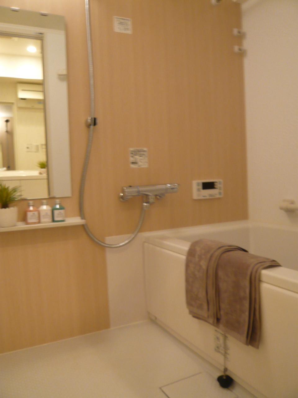 Bathroom. Indoor ((June 2013) Shooting