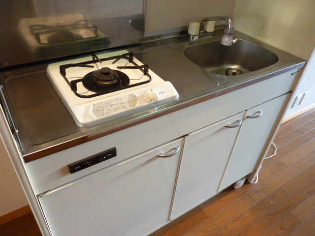 Kitchen. Gas stove