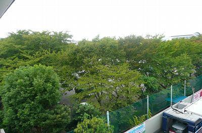 View photos from the dwelling unit. View from the dwelling unit