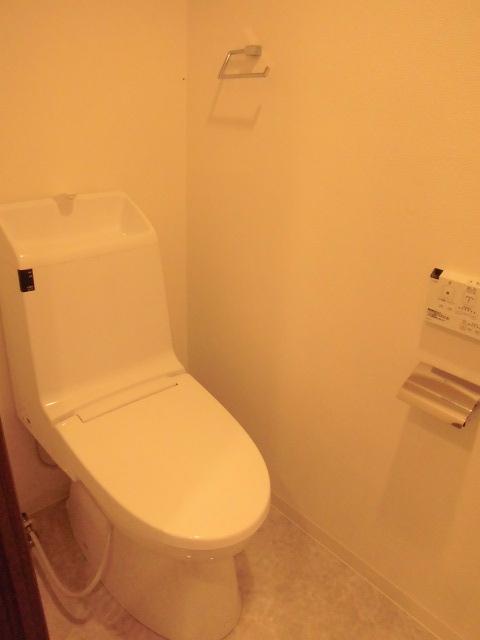 Toilet. Room (August 2013) Shooting