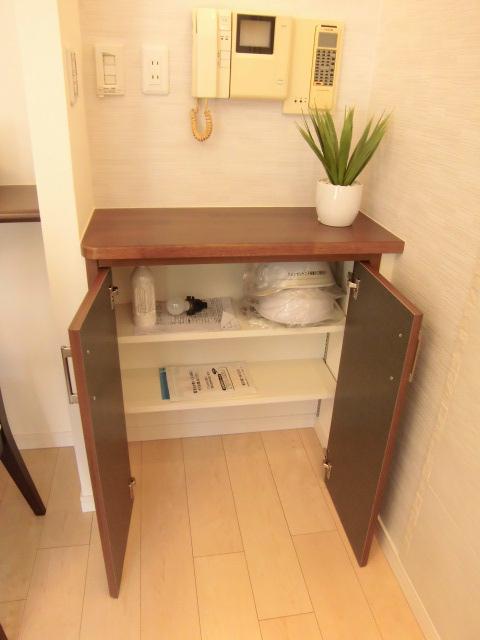 Receipt. Room (August 2013) Shooting