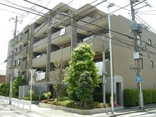 Local appearance photo. June 2011 shooting