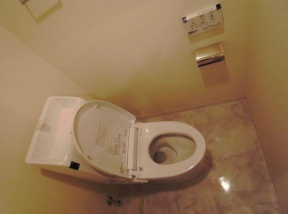 Toilet