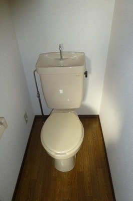 Toilet. Toilet