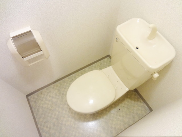 Toilet. Toilet with cleanliness