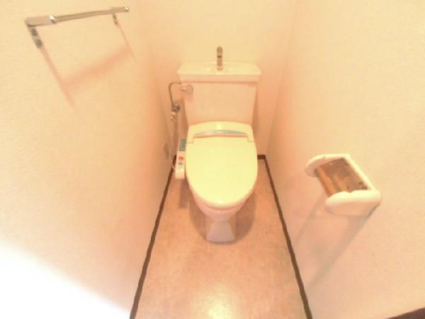 Toilet. Shower toilet