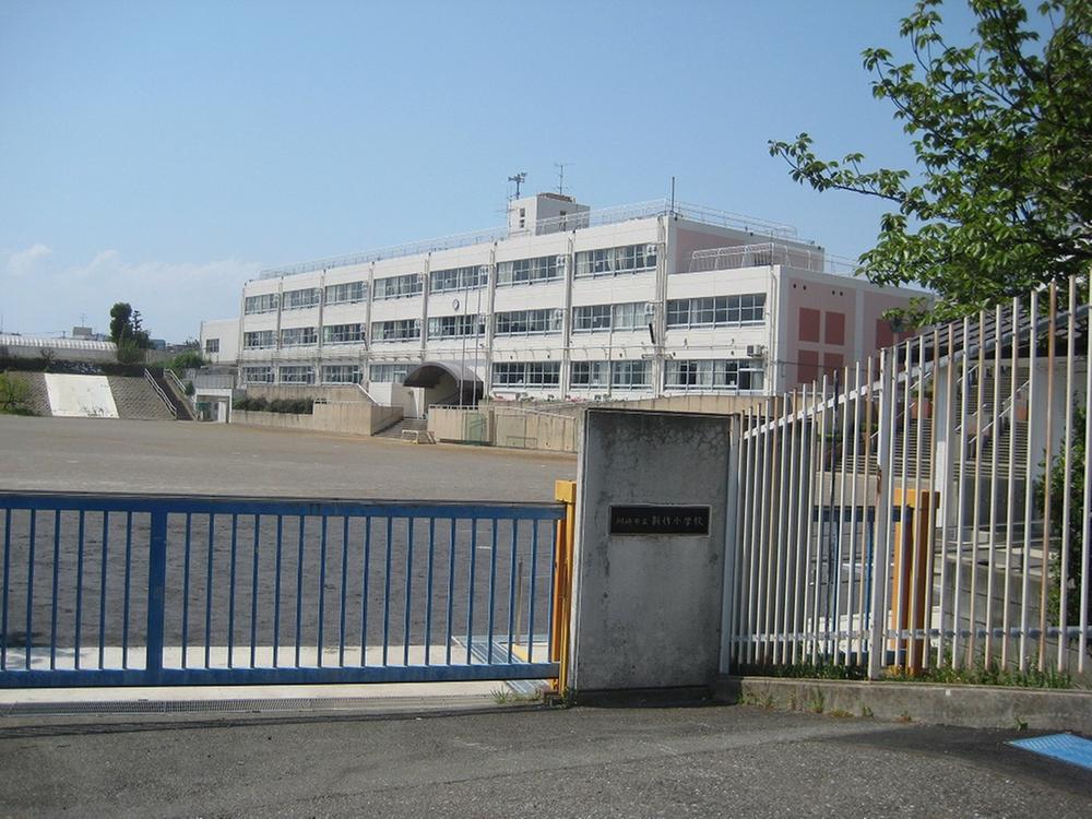 Primary school. Near the 595m until the new elementary school is safe.