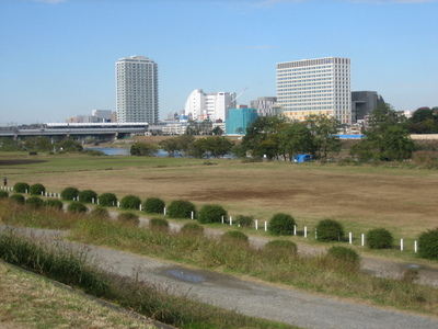 Other. Tama River (Other) up to 100m