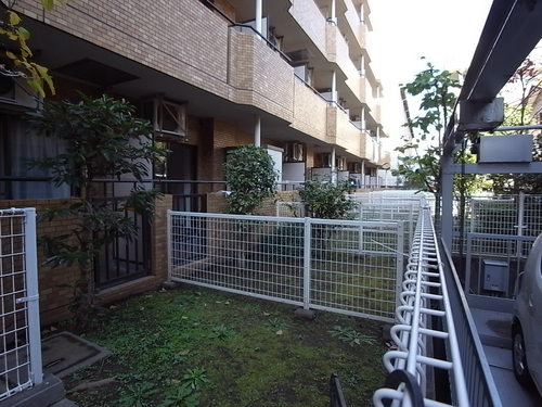 Garden. terrace