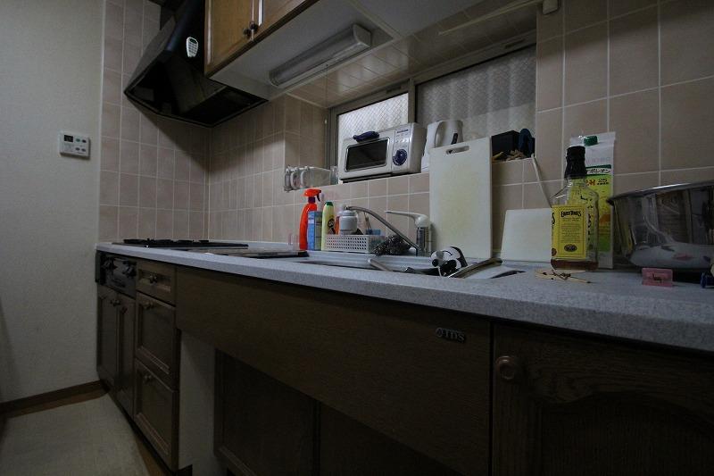 Kitchen. Indoor (12 May 2013) Shooting