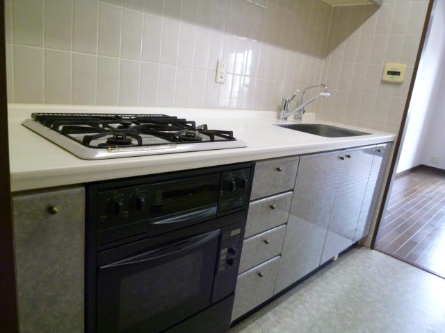 Kitchen. Have been cleaned (2013 May implementation)