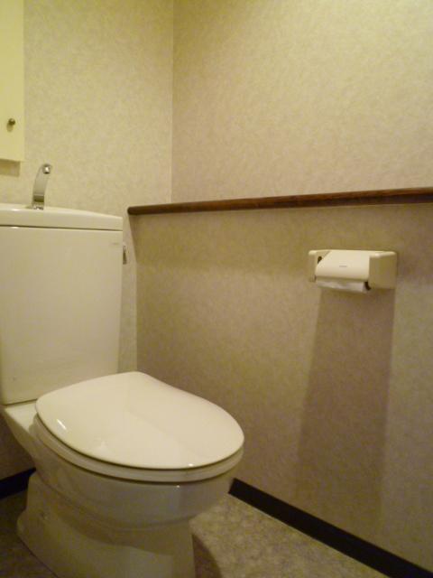 Toilet. Have been cleaned (2013 May implementation)