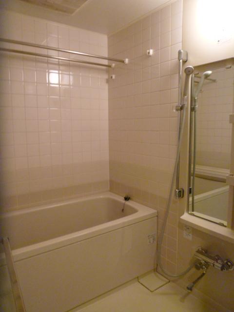 Bathroom. Have been cleaned (2013 May implementation) shadow