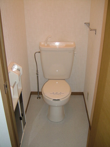 Toilet. It is a Western-style toilet with cleanliness