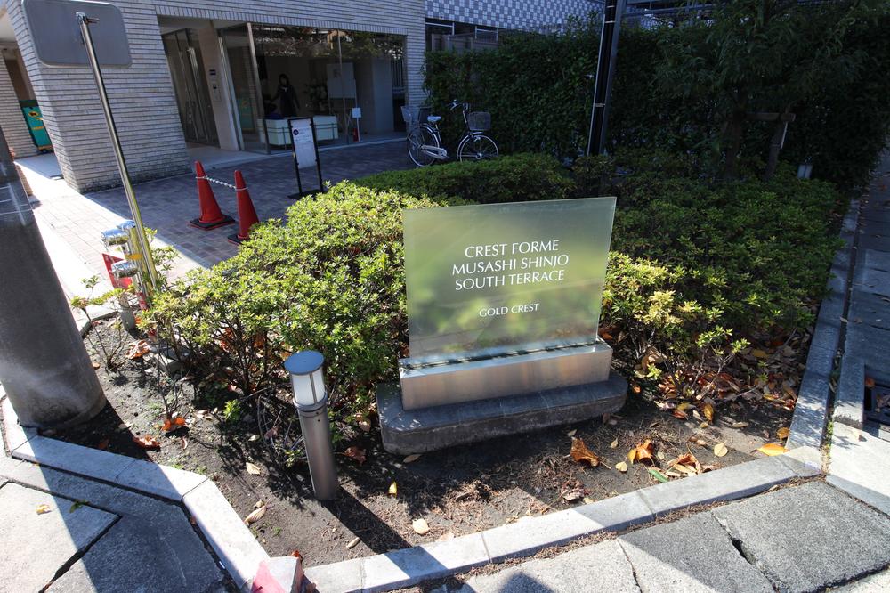 Other local. Local (11 May 2013) Shooting