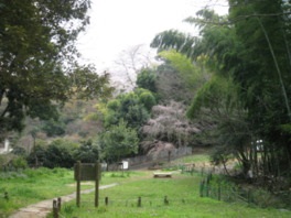 park. 785m until Tachibana Friendship Forest (Park)