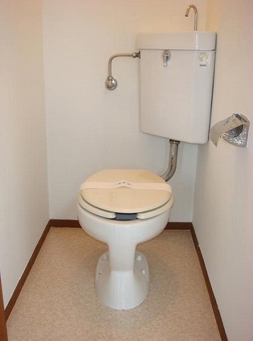 Toilet. Toilet