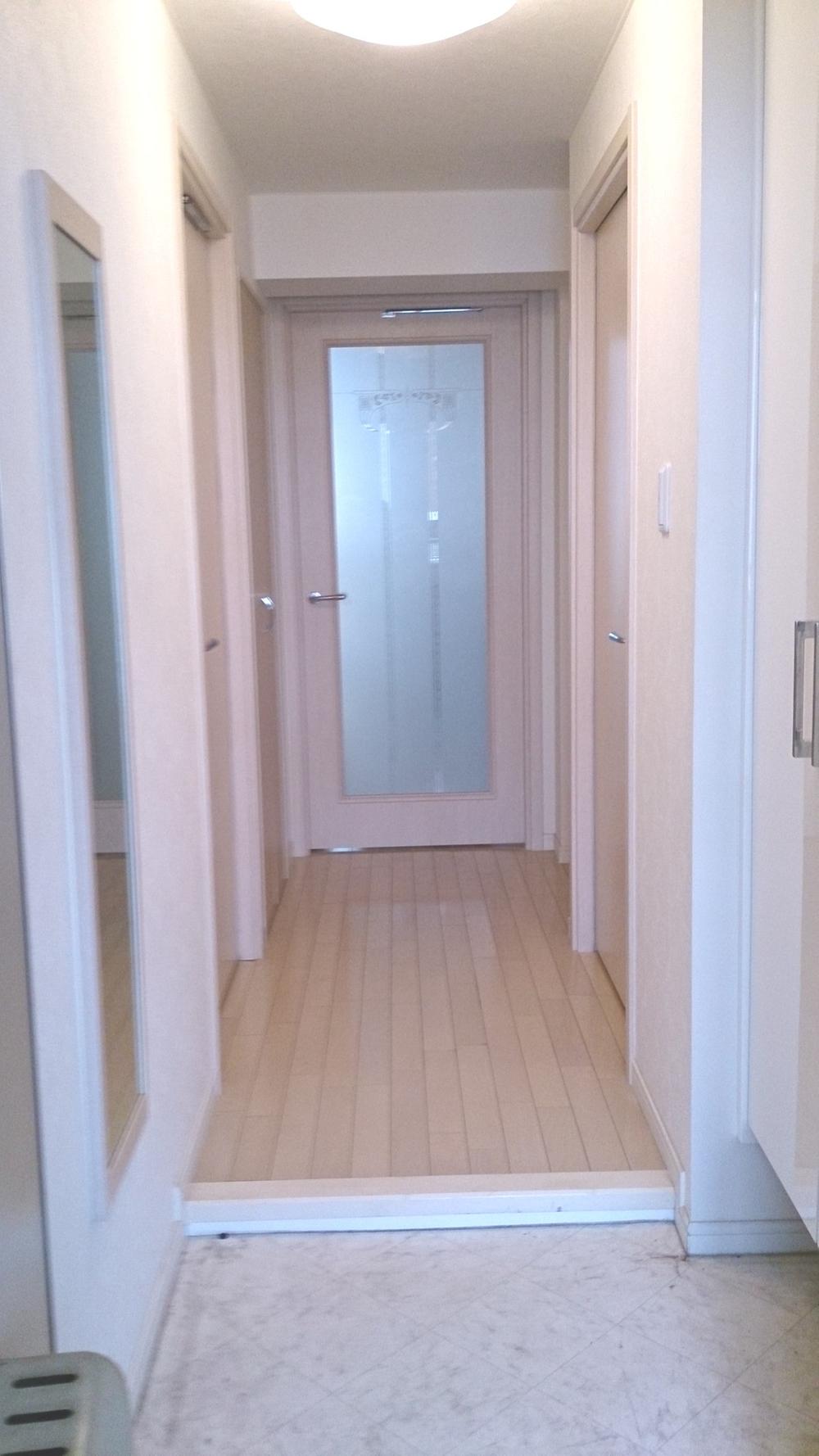 Other introspection. Hallway from the entrance