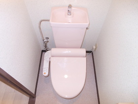 Toilet. Cleaning function toilet seat