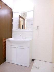 Washroom. Vanity with shower