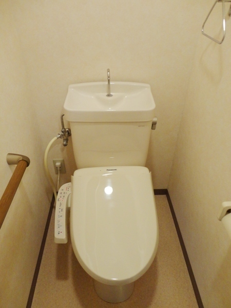 Toilet. Western-style toilet