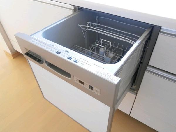 Other Equipment. It is with a dishwasher