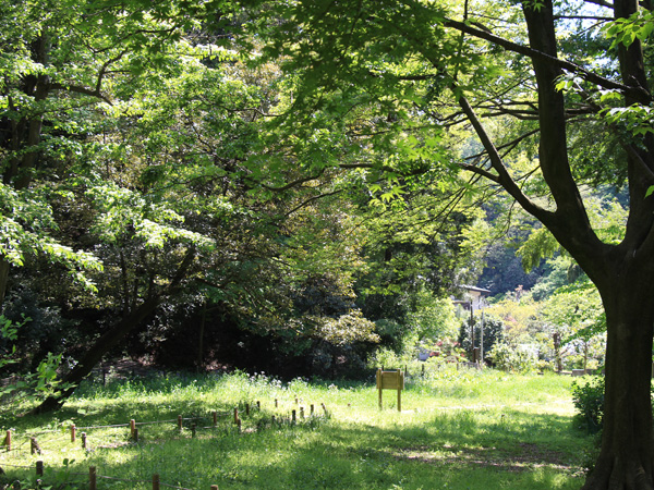 Surrounding environment. Tachibana Fureai Forest (about 590m / An 8-minute walk)