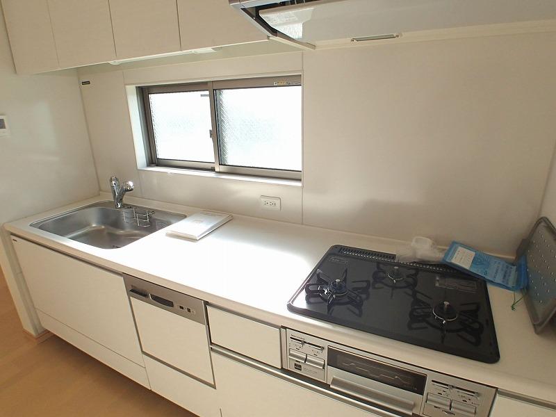 Kitchen. Dishwasher kitchen. 5 Building