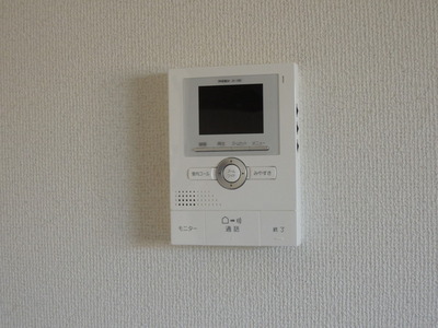 Security. Monitor with intercom