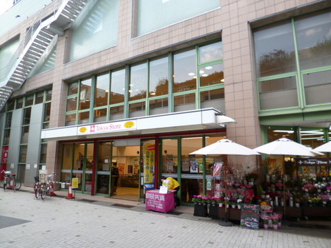 Other. Tokyu Store Chain