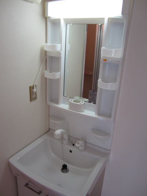 Washroom. Separate vanity with a shower!