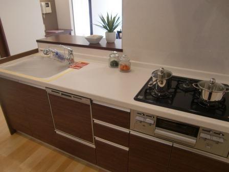 Kitchen. Indoor (11 May 2013) Shooting