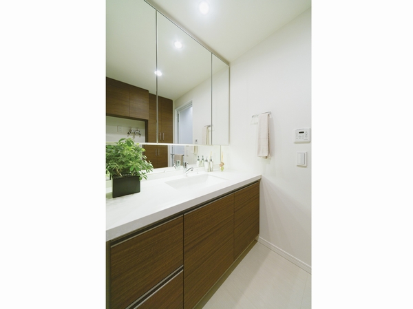 Also ensure sufficient storage of triple mirror back with storage vanity linen cabinet, etc. basin space