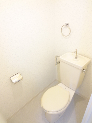 Toilet.  ※ A separate room is a reference photograph