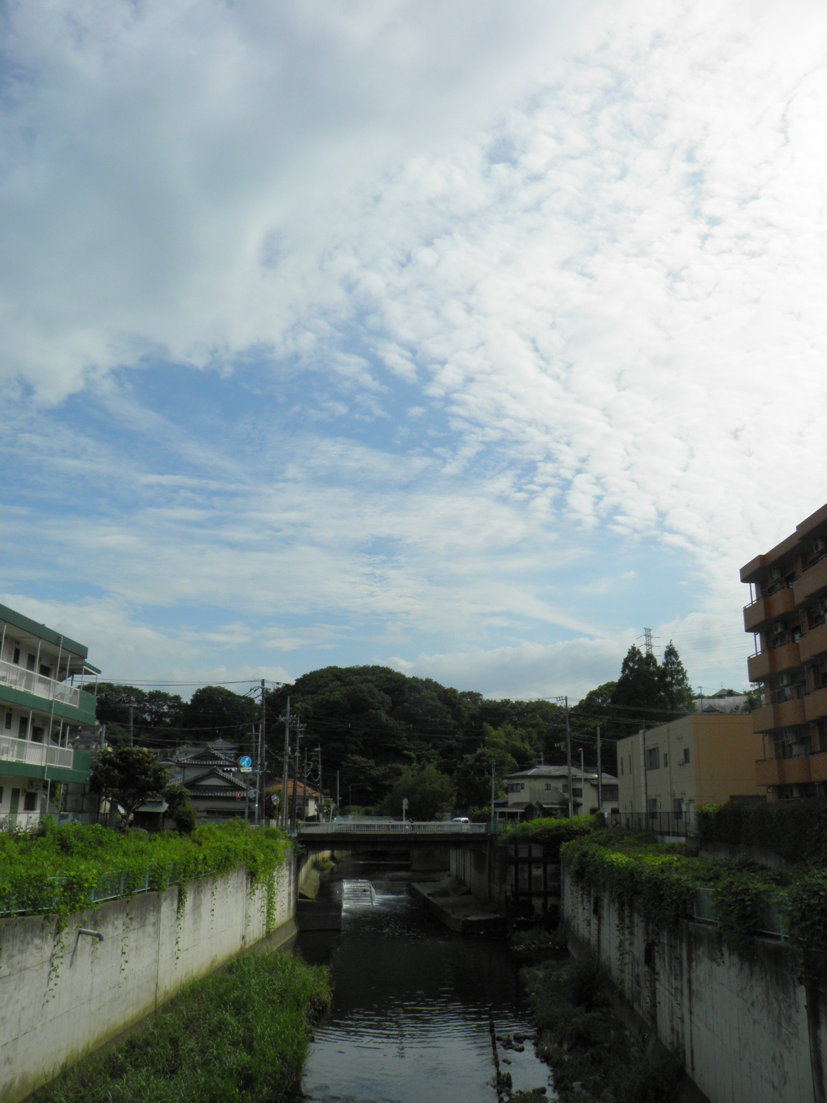 View. It flows Hirase River next to the property
