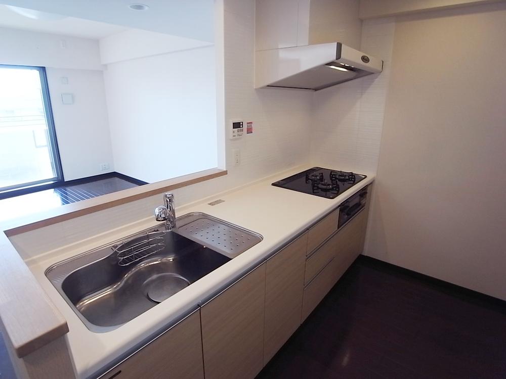 Kitchen. Indoor (11 May 2013) Shooting